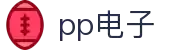 PP电子(中国)集团公司